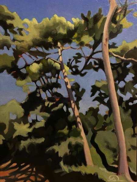 Barnaba Salvatore — dates à venir